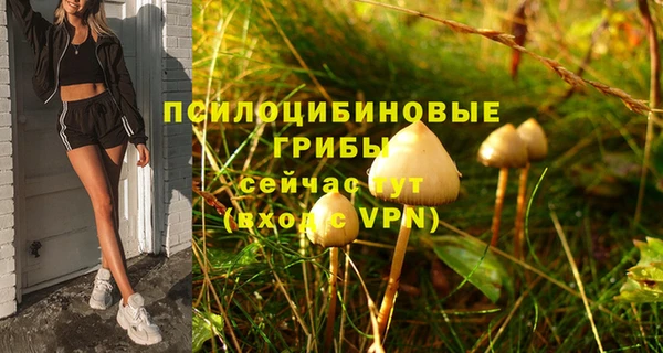спиды Бородино