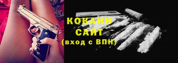 спиды Бородино