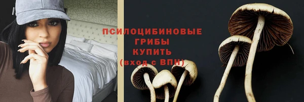 спиды Бородино