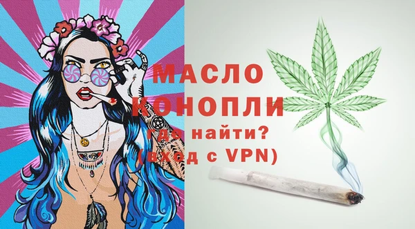 спиды Бородино
