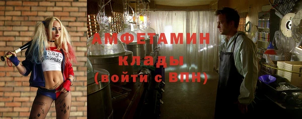спиды Бородино