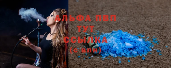 спиды Бородино
