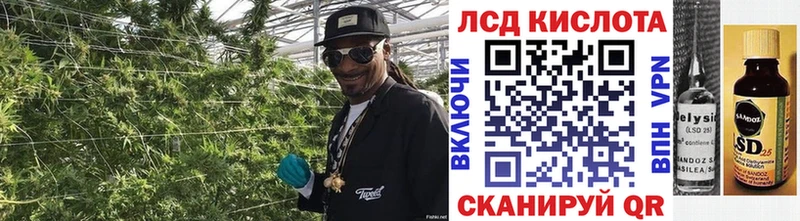 OMG tor Данилов Марки NBOMe 1,8мг